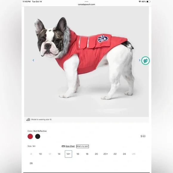 Canada Pooch Everest Explorer Jacket-Red Size 14+. - Picture 2 of 15